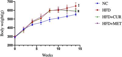 The Therapeutic Efficacy of Curcumin vs. Metformin in Modulating the Gut Microbiota in NAFLD Rats: A Comparative Study